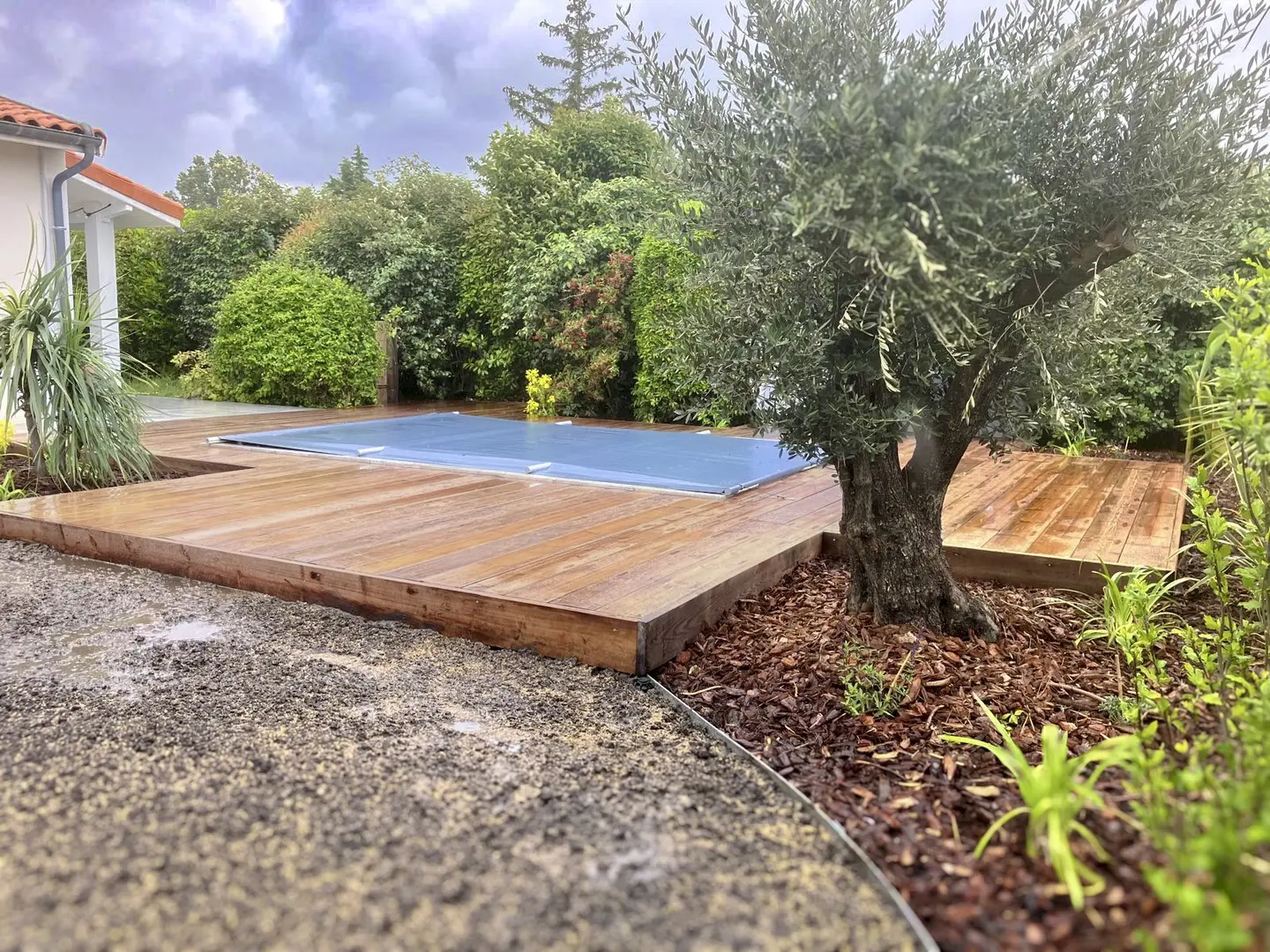 Photo du jardin après réalisation avec un autre point de vue. On peut voir en premier plan un olivier disposé dans un massif et derrière la terrasse en bois et la piscine
