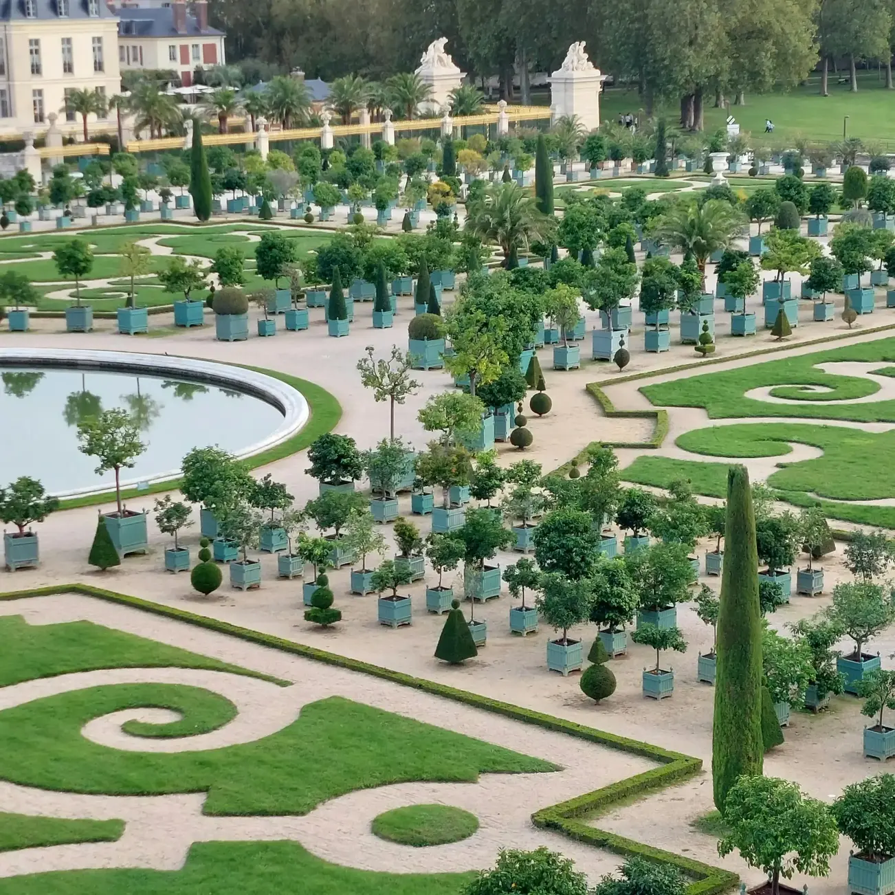 Photo des jardins de Versailles. On voit des végétaux parfaitement taillés en topiaire.