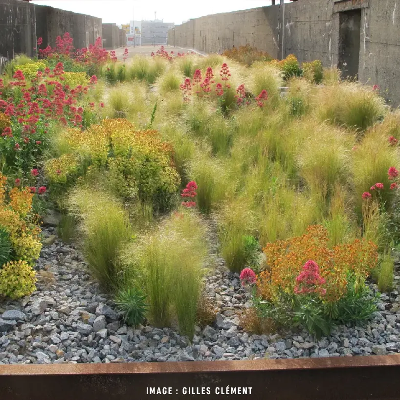 Photo d'un jardin réalisé sous le conception de tiers-jardin par Gilles Clément dans une ancienne base sous-marine 