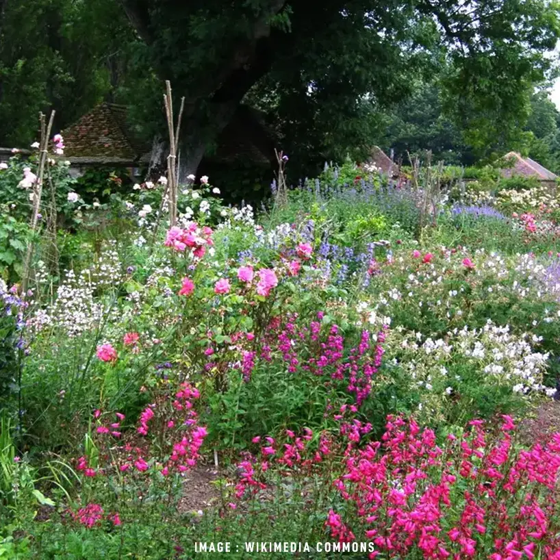 Jardin type naturel composé de mixed-bordures réalisé par Gertrude Jekyll une architecte paysagiste reconnue qui a inspiré les jardins à l'anglaise durant des années 