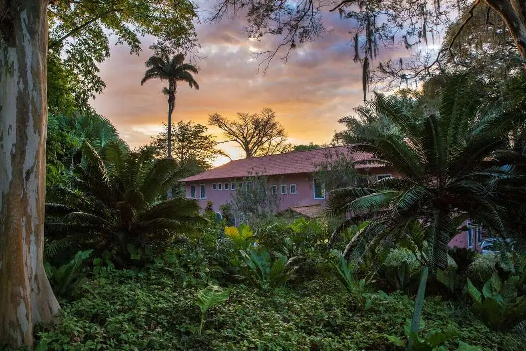 Photo du jardin Sitio Roberto Burle Marx, paysagiste concepteur de génie, on voit un massif de plantes exotique à l'aspect très naturel. On voit des plantes couvre-sol et quelques plantes avec un aspect très graphique. 