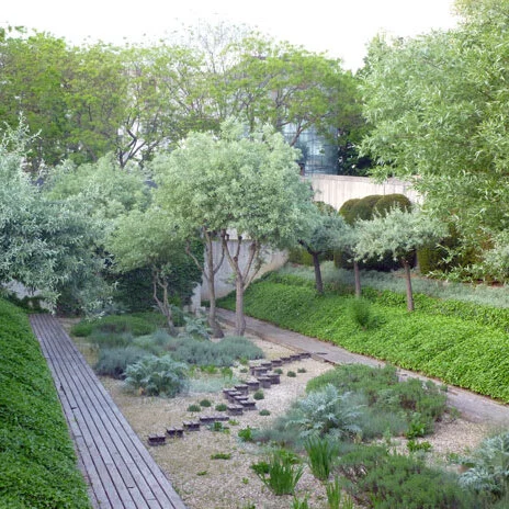 Photo d'une partie d'un jardin conçu par Gilles Clément, célèbre architecte paysagiste Français. Ce jardin est composé de diverses plantations avec un paillage minéral. 