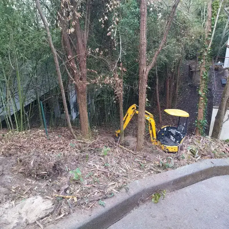 Travaux d'arrachage de bambou avec une mini-pelle sur un terrain en pente